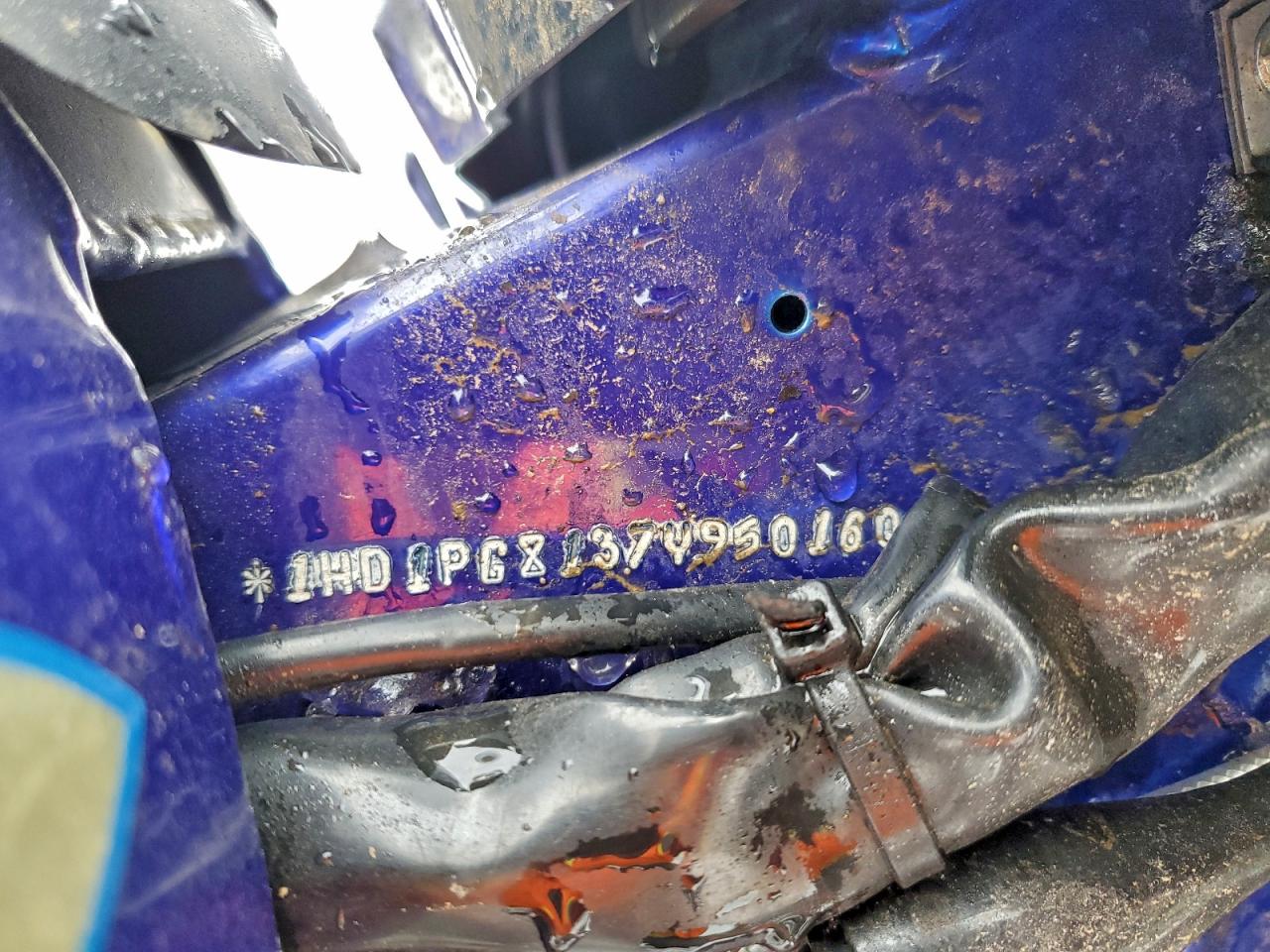 Harley-Davidson Flse Image 7