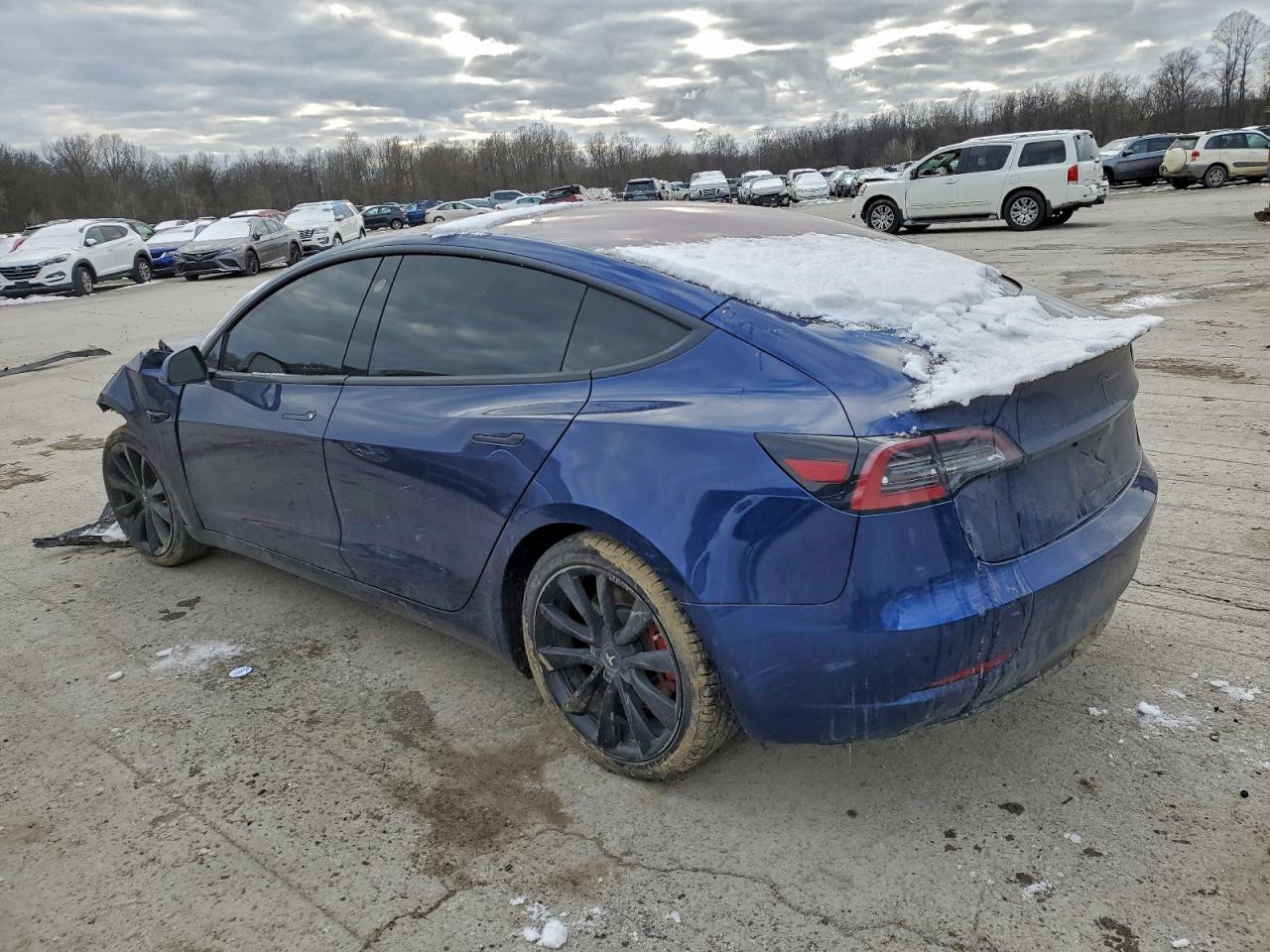 Tesla Model 3 Image 7